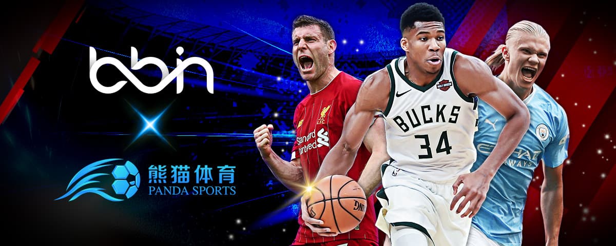 与国际标准